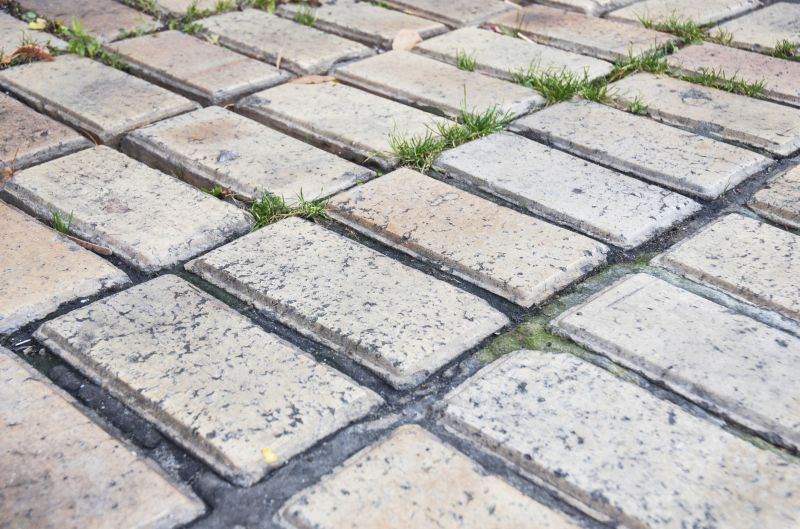 Brick Flatwork Repair in Longwood, FL
