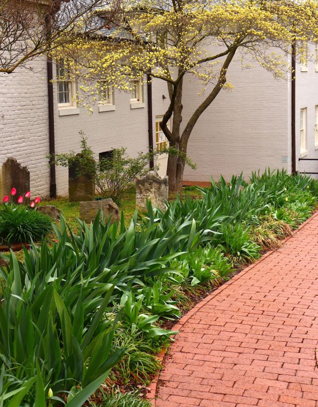 Brick Pathway Repair in Deland, FL