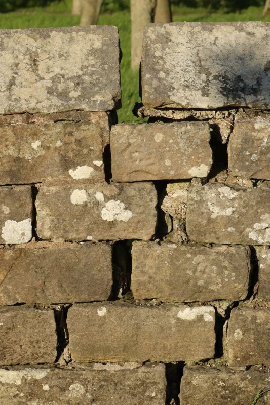 Stone Wall Repair in Ormond Beach, FL